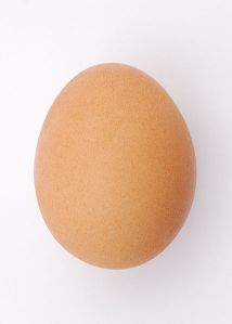 Um ovo comum de galinha é a primeira coisa que vem à mente da maioria das pessoas quando ouvem a palavra "ovo". Foto de Sum Ladder*, extraída de commons. wikimedia.org